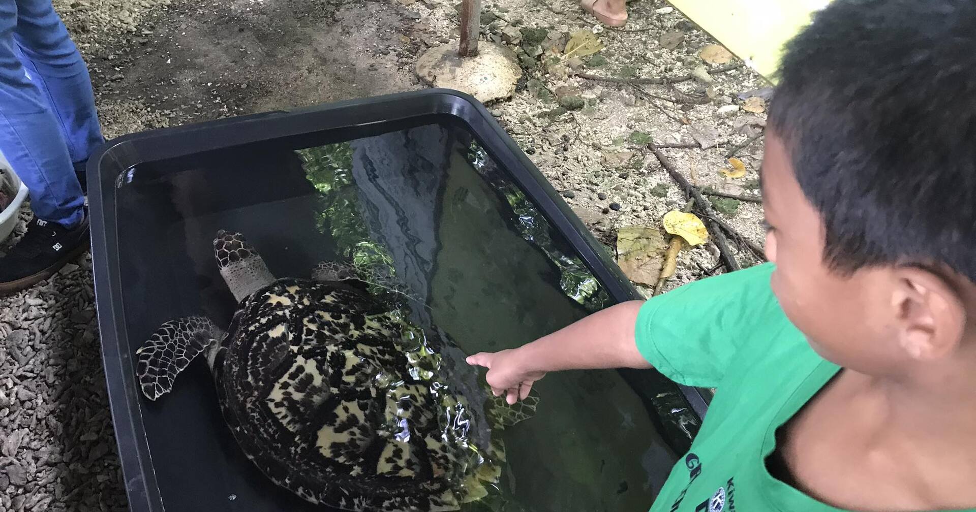 One Child, One Heart, One Sanctuary at a Time